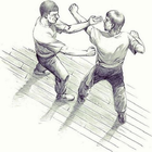 the best wingchun technique icon