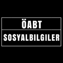 Kpss Sosyalbilgiler Öabt Çıkmış Sorular APK