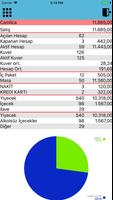 1 Schermata Orion Mobil Rapor