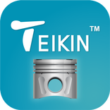 Teikin Piston