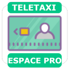 TELETAXI - Espace PRO आइकन