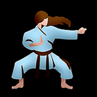Shotokan Karate-icoon