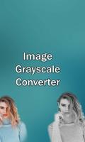 Grayscale Image Converter poster