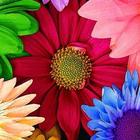 آیکون‌ fondos de flores bonitas