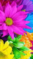 برنامه‌نما fondos de flores bonitas عکس از صفحه