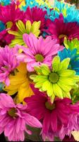 برنامه‌نما fondos de flores bonitas عکس از صفحه