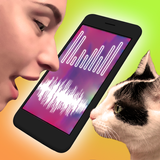 Cat Translator icon