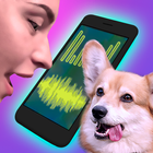 Dog Translator آئیکن