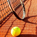 Tennis hd Wallpapers-APK