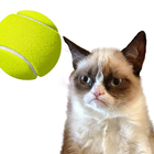 Cat Tennis: Battle Meme icône