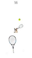 Cat Tennis: Battle Meme Affiche