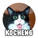Kocheng : Cat Sticker for WAStickerApps APK