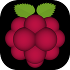 Very Raspberry icône