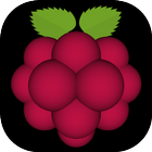 Very Raspberry icon