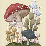 Mushroom Wallpapers