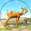 Veados caça jogos: caça animais da selva
