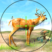 Sniper Deer 3D Hunt 2021: Wild Hunting: FPS Guns