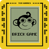 Retro Brick Game Online icon