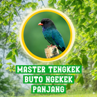 Masteran Tengkek Buto Ngekek biểu tượng