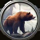 Hunting Clash icon