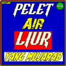 Ilmu Pelet Air Piur Yang Mujar APK