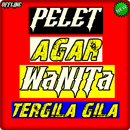 Pelet Agar Wanita Tergila Gila APK