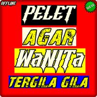 Pelet Agar Wanita Tergila Gila ảnh chụp màn hình 3