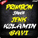 Primbon Jawa Jenis Kelamin Bay APK