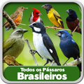 Todos os Pássaros Brasileiros