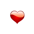 Libro de Amor