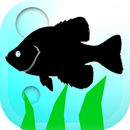 Fishing Traveler APK