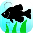 Fishing Traveler-icoon