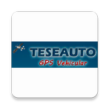 TESEAUTO