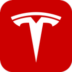 Tesla 图标
