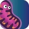 Infinite Evolution APK