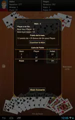 Gin Rommé Pro APK Herunterladen