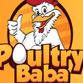 Poultry baba