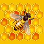Honeygain Earn money Guide