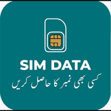 sim info 2024