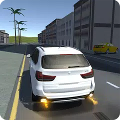 X5 M40 and A5 Simulator アプリダウンロード