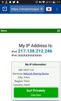 Browser and VPN screenshot 2