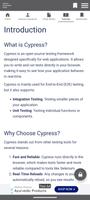 Cypress Automation Guide captura de pantalla 3