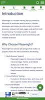 Automation Guide (Playwright) imagem de tela 3