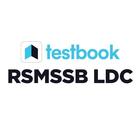 RSMSSB LDC Exam Prep | Mock Te icône