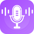 Video Voice Changer