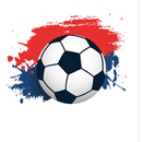 APK Flyscores