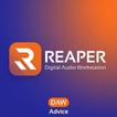 Reaper DAW Android Advices icon