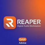 Reaper DAW Android Advices