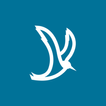 Tern for Travelers