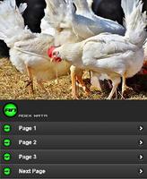 برنامه‌نما Poultry Broiler Chickens عکس از صفحه